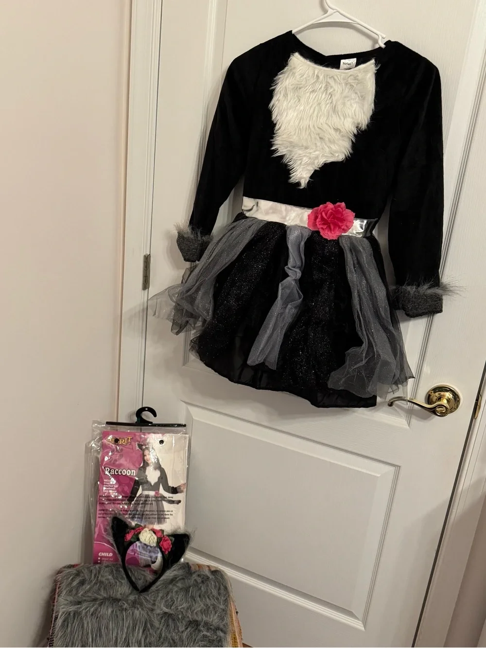 Spirit Raccoon Dress Kids Costume Size Large
